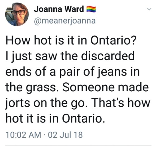 whitepeopletwitter:Jorts-2-go