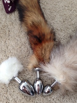 thespankacademy:  devotedlittepet:  My two new tails from the spank academy arrived today :3 Daddy’s fav is the bunny plug as its the biggest  Get yours, too!! &lt;3http://etsy.com/shop/thespankacademy