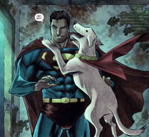 more-like-a-justice-league:The Best Dog a Superman could ask for