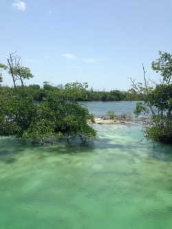 wiitch-hazell:  I went scuba diving today at the underwater museum here are pictures from the boat ride how pretty