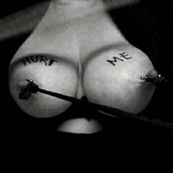( , )( , )▪️◾️◼️🔳⬛️🐺⬛️🔳◼️◾️▪️( , )( , )