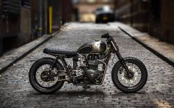 Triumph Bikes