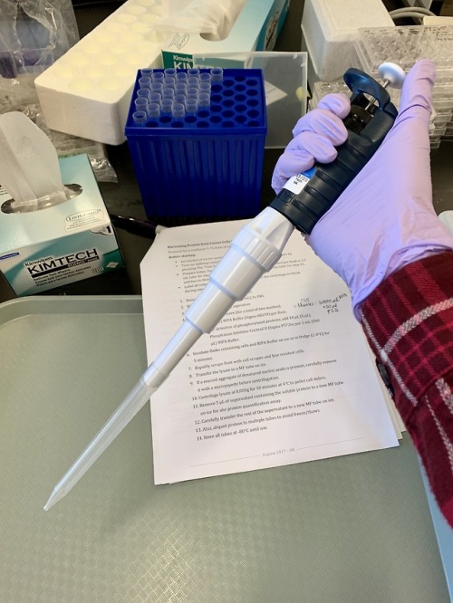 cancerbiophd: look at this big boi my lab hasit’s a pipette for 1 - 5 mlhere it is next to its son, 