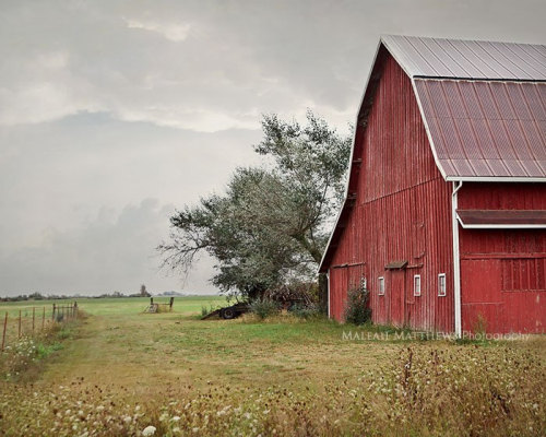 allthiscountry:  allthiscountry.tumblr.com