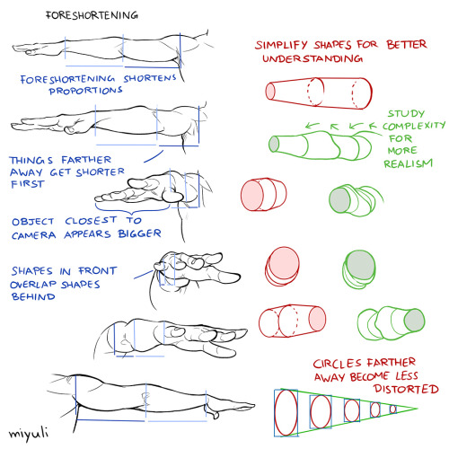 miyuliart:A couple of perspective notes I talked about during my webinar.I always have more notes on