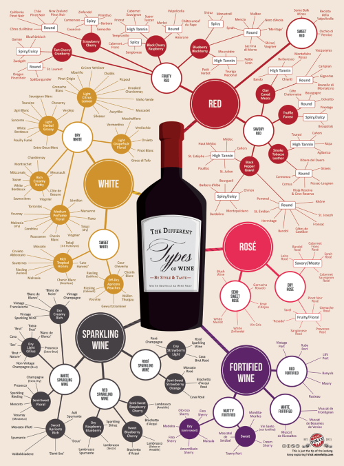 zenfallon:  ancestryinprogress:  boujhetto:  Wine 101  How-to Choose How-to Pair w/Food Using The Right Glass Shows You Have Class  Basic Types of Wine Expanded typing of Wines What Temp For EachType of Wine Knowing Your Wine Colors Wine Type Descriptions