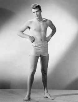 Ajockripens:  