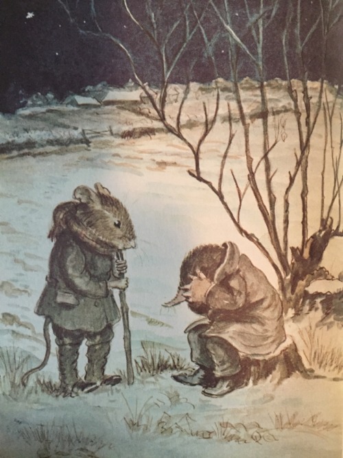 The Wind in the Willows by Kenneth Grahame and lovely illustrations by Tasha Tudor