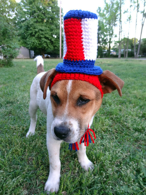 archiemcphee:South Carolina-based craftstress Meredith Yarborough crochets awesome party hats for ca