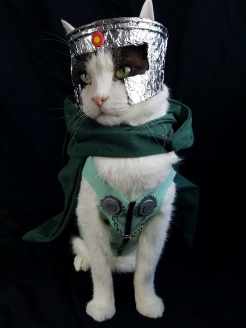 cat-cosplay: timeywimeyjedi: “Kneel before Professor Chaos!” I will become the greatest 