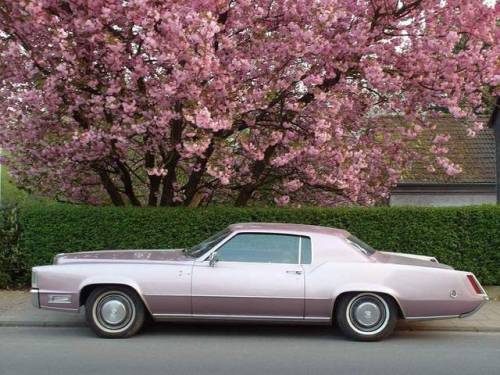Cool Car Photos