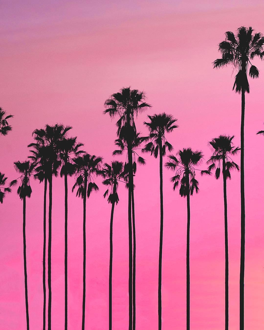 killstarrmusic:  🌴 Take me back to Vice City 🌴 #retro #80s #1980s #palmtrees