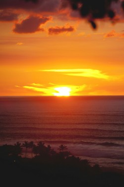 orchidaaorchid:    North Shore Sunset by