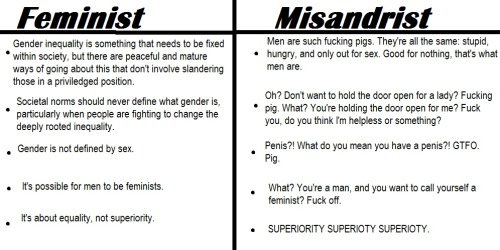 healthycomfyhappy:avocadobitchh:hellounibrow:Know the fucking difference.Feminism is a good thing. S