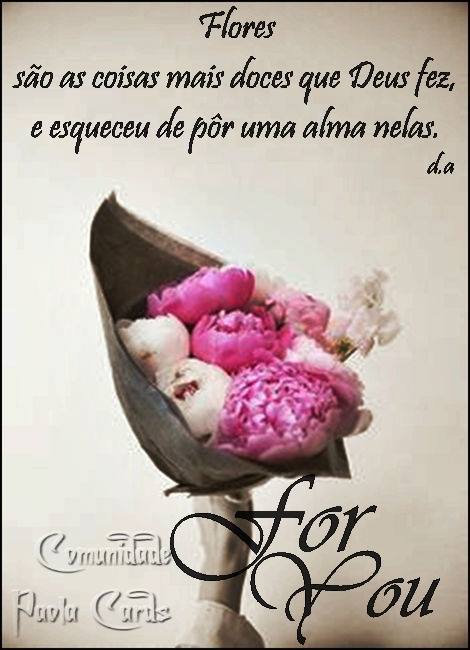 ac3f6955d61fe97341e6684a5cec85439267e241