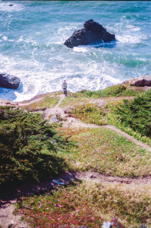 kellan by the shore at lands end, san francisco