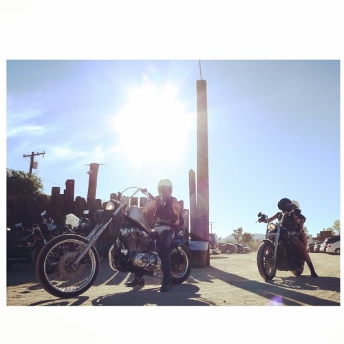 Babe a Rama… @niinhellhound @babesrideout #babesinjoshuatree #harleydavidson #pappyandharriet