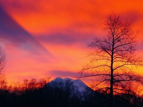 unicorn-meat-is-too-mainstream:  The Shadow of Mount Rainier Bhakta’s Weblog:  facebook  |  twitter  |  pinterest  | subscribe 