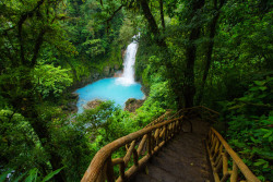 sixpenceee:  Nestled in the Costa Rican wilderness, the Rio Celeste is a stunning tropical gem whose iconic blue hue has turned it into a popular nature spot. 