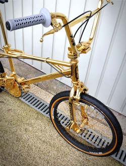 brillur:  I would totally ride this bike,