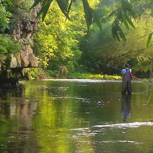 Stayin’ FLY. #Wisconsin #driftless #fishing #flyfishing #troutbum #mendyourlinebrah