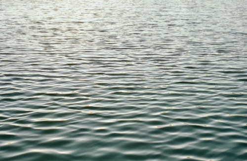 Croke Reservoir, NorthglennShot on 35mm E6 Color Slide Film