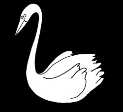 nikolavukovic:  swan 