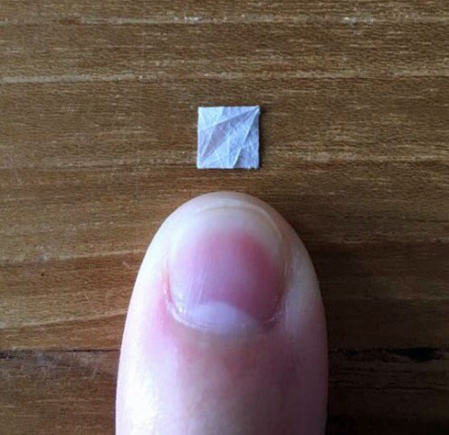 tastefullyoffensive:What is this, origami for ants? (via alisonmah / davidkawai)