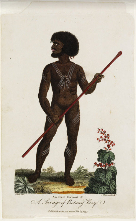 An exact Portrait of A Savage of Botany Bay, 1795, hand coloured engraving by J. Chapman.State Libra