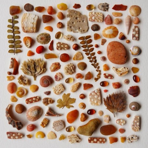 sosuperawesome:Seaglass Collage by Jan Campbell on InstagramFollow So Super Awesome on Instagram