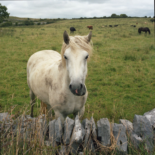 cliffs of moher