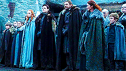 braavosz:  GoT Challenge ♚ favorite house      ↳House Stark The Starks of