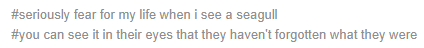 mrevaunit42: i-draws-dinosaurs:  saurophaganax: people who say feathered dinosaurs aren’t scary have never been dive bombed by a seagull for a french fry and it shows Reblogging this would be unconscionable without preserving the tags   Apex predators