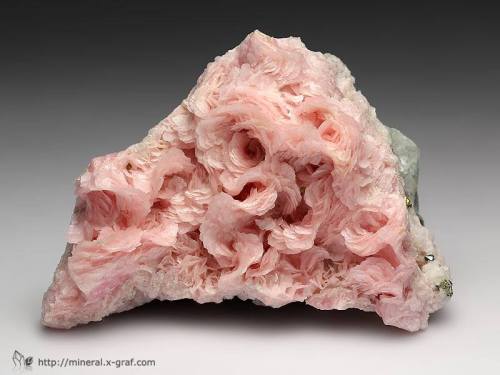 gemmadness:Amazing Roses Rhodochrosite - Huachocolpa Mine, Peru*Photo : © mineral.x- graf