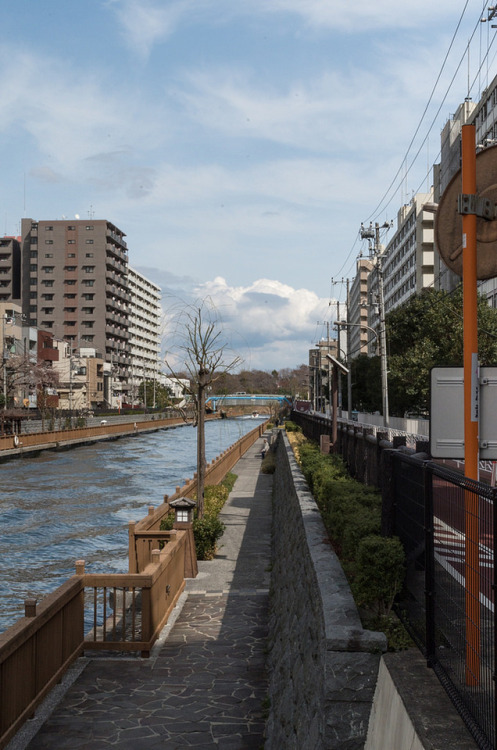 春の小川 - 2018年
