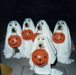 iwishihadafather:  Kkk is recruiting