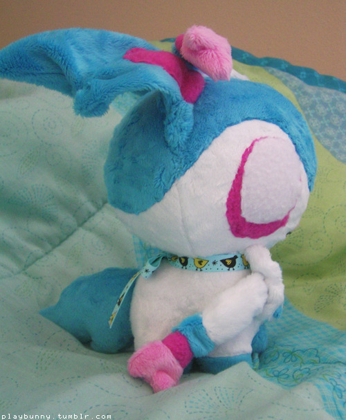 I’M SQUEALING LOOK WHAT I GOT TODAY YOU GUYS This is a shiny Sylveon plush I commissioned from VanguardWingal, it’s absolutely beautiful and I am freaking out over here ! They worked really fast too and shipped it fast. He’s very sturdy