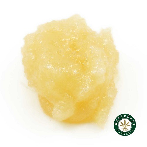 Live/Resin – Maui Wowie (Sativa)
30.00 - 550.00 CA$
See more : https://wccannabis.co/product/live-resin-maui-wowie-sativa/
Maui Wowie (aka Maui Waui) is a classic sativa marijuana strain made from a cross of Hawaiian and another strain that remains...