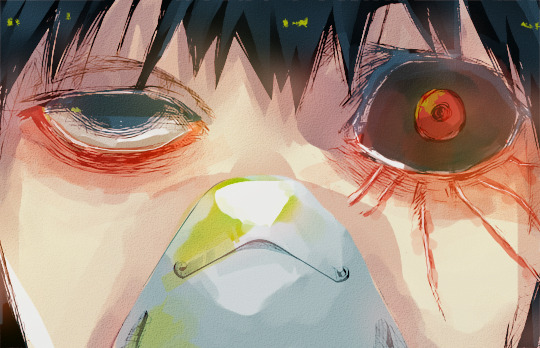 sukerokus:  kaneki ken.