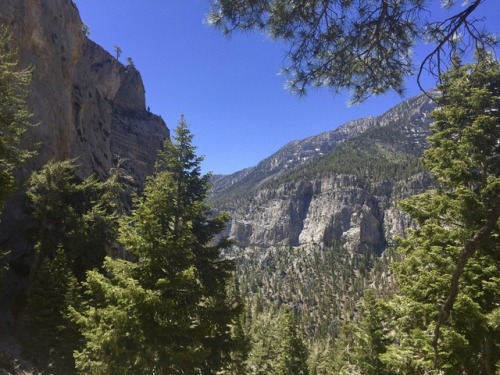 Mary Jane Falls Trail @ Mount Charleston, NV