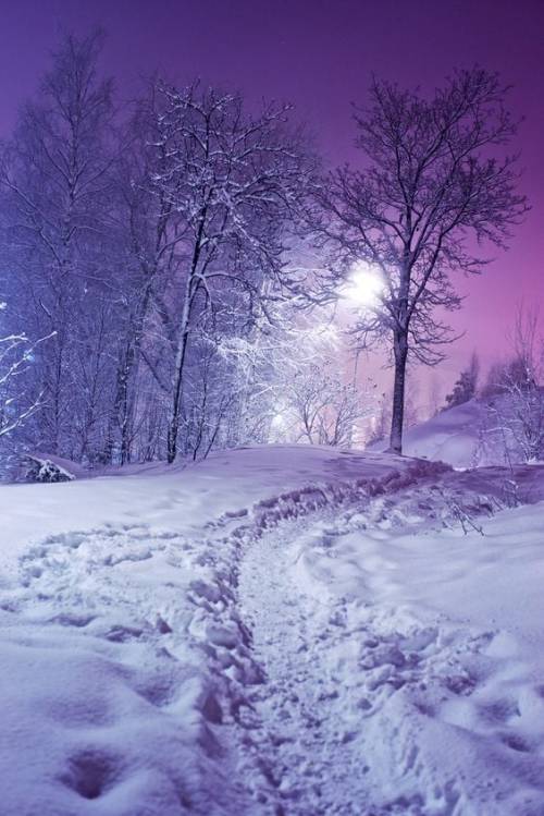 Photo public domain #winter#snow#evening