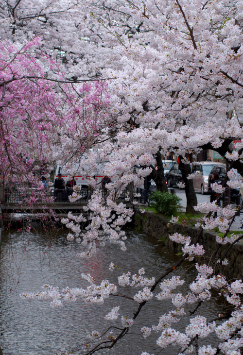 japan-overload: by  Hisanori