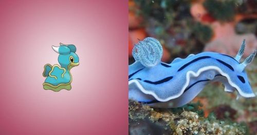 retrogamingblog2:Pokemon and the real creatures that inspired their designPoliwag – Translucent Tadp
