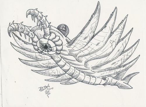 laxkitten:My #wcw is the anomalocaris, super predator of the Cambrian period. This bitch existed rou