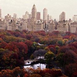 jorgebanha:  The colors of fall in New York City… Maybe some day I’ll see them in real life… #fall #centralpark #nyc #newyork #usa 