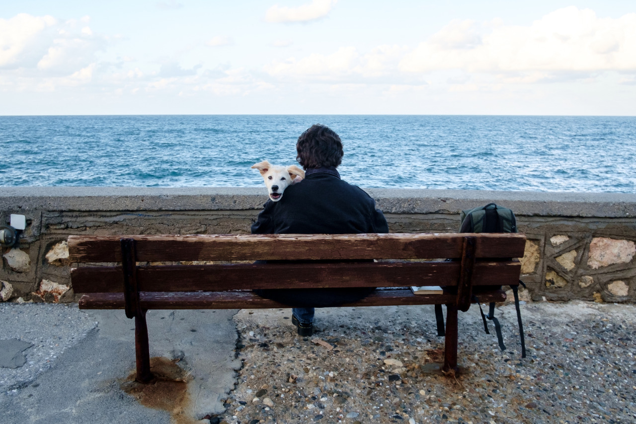 Back off
Fujifilm X-Pro1 - XF18
Snapped in Rethymno, Crete, Greece
More about Street Photography at www.streethunters.net
#StreetPhotography #streethunters #Rethymno #Crete #Greece #FujifilmXPro1 #Xpro1 #XF18 #streetpics