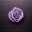a-haunted-rose