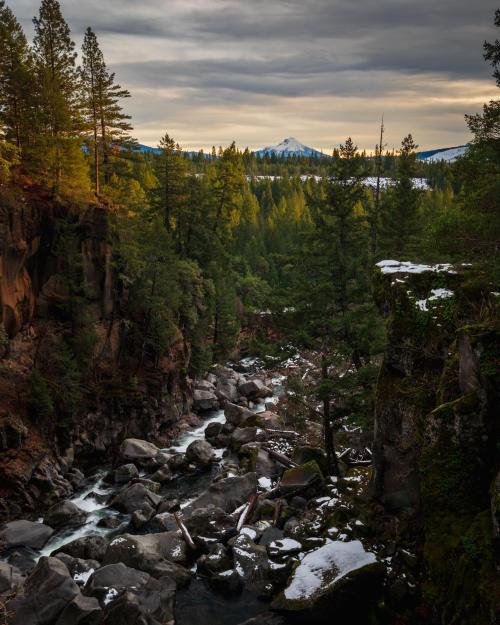 oneshotolive:  The view from Prospect, Oregon [OC] [2160x1728] 📷: valledweller33 