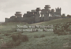 promiseme-ned:  “Needle was Robb and Bran and Rickon, her mother and her father, even Sansa. Needle was Winterfell’s grey walls, and the laughter of its people. Needle was the summer snows, Old Nan’s stories, the heart tree with its red leaves and