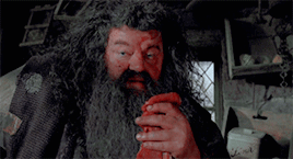 scamhunder: There is nothing out there, dear! Who do you imagine would want to attack
